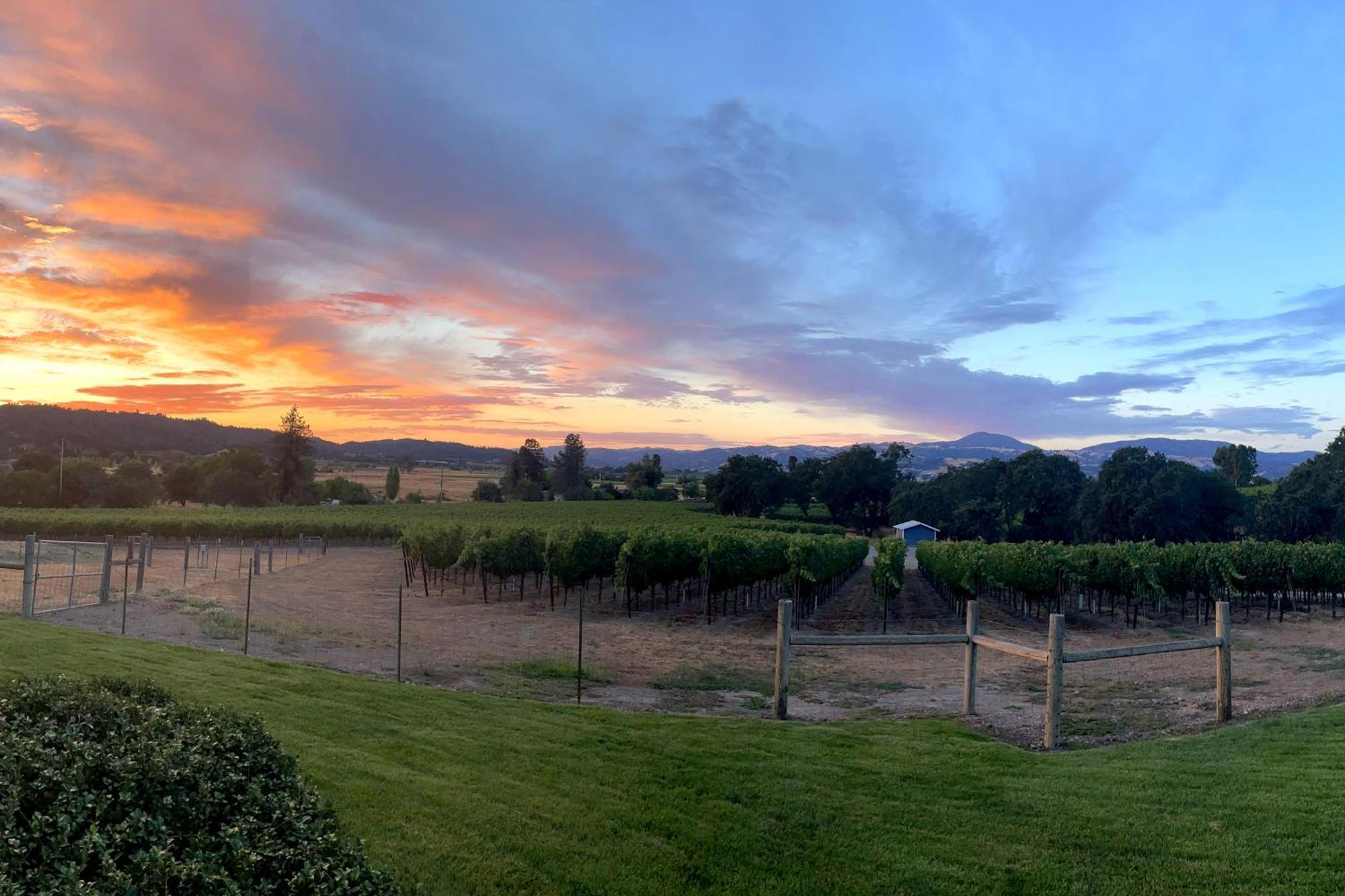 Alexander Valley Retreat Healdsburg Εξωτερικό φωτογραφία